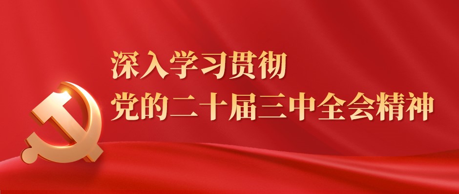 河北省水渠科技有限公司深入學(xué)習(xí)貫徹黨的二十屆三中全會精神